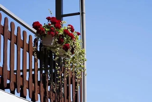 Haus Panorama * Tylkowo